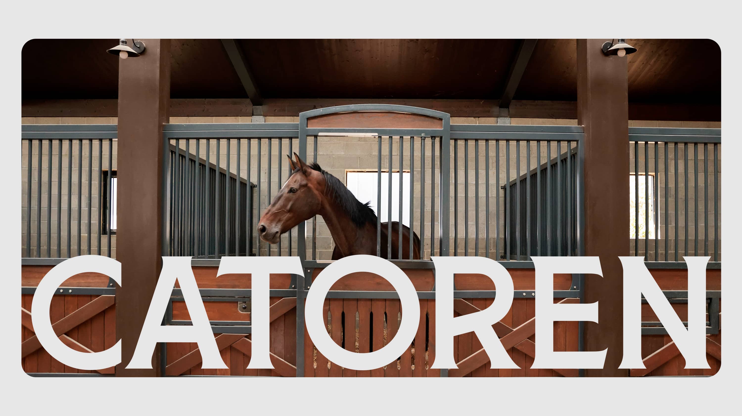 Catoren — website design and engineering by Super Agency