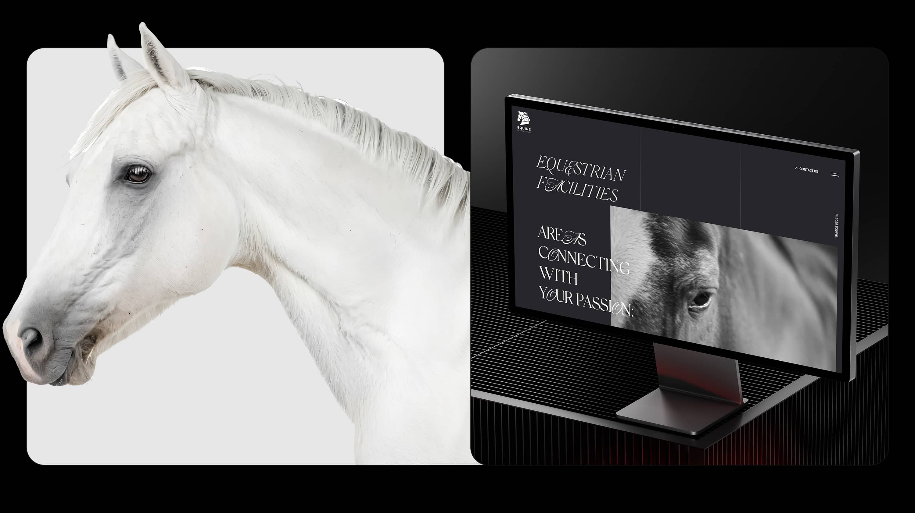 Equine Design Studio
